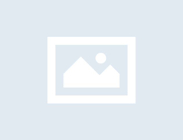 No-Image placeholder
